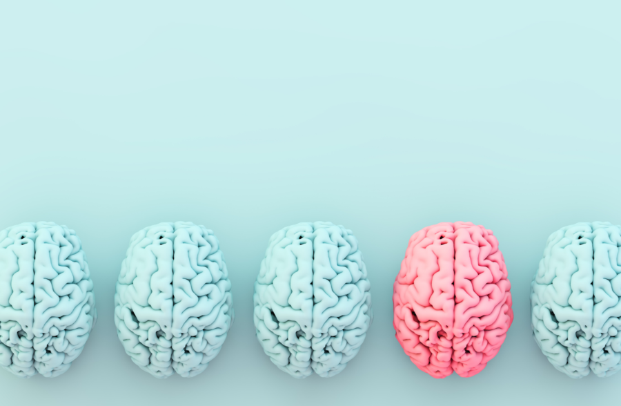 colourful brains