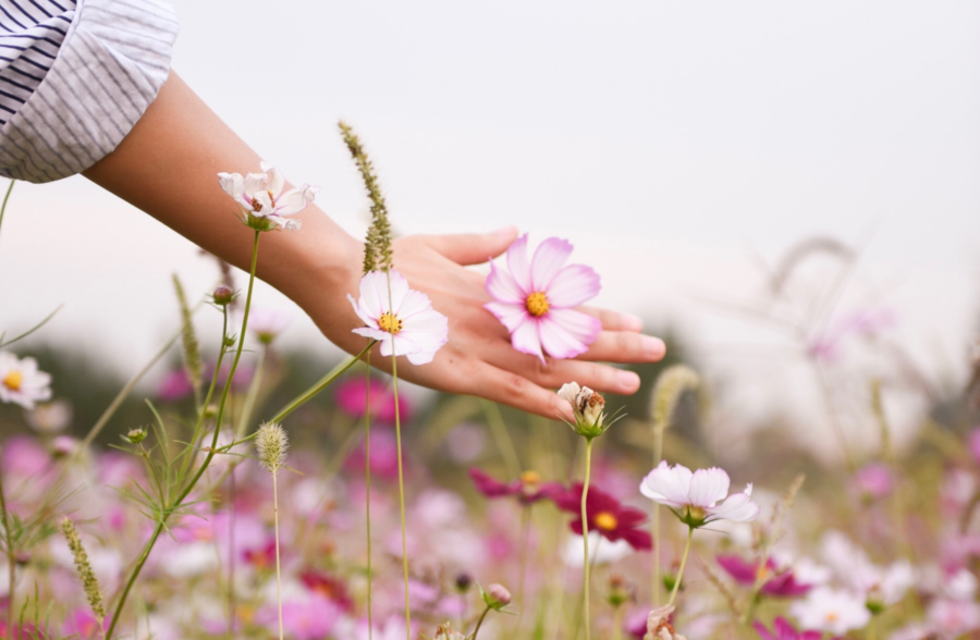hand flowers in field